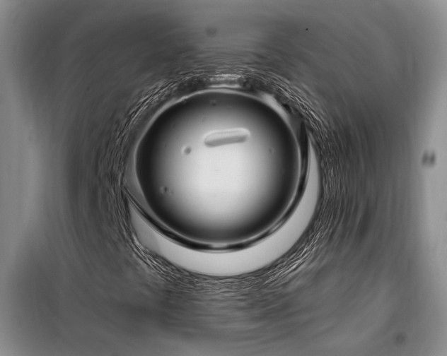 X0000098131441200804171509
