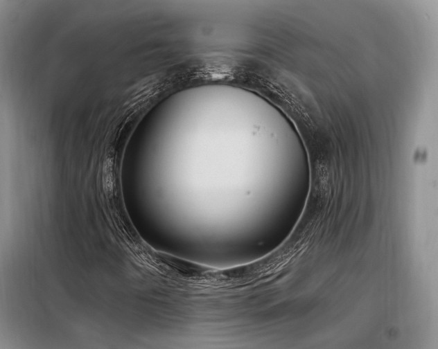X0000098131442200804171509