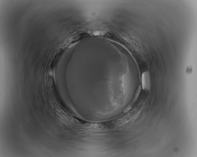 X0000098131443200804171509