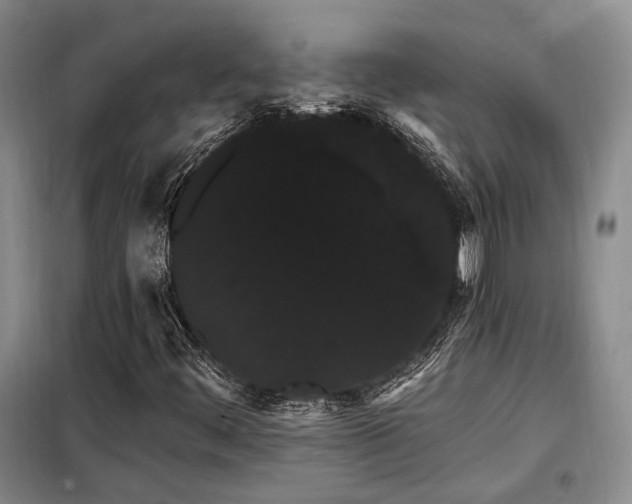 X0000098131444200804171509