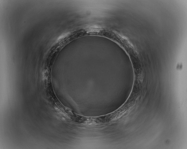X0000098131445200804171509