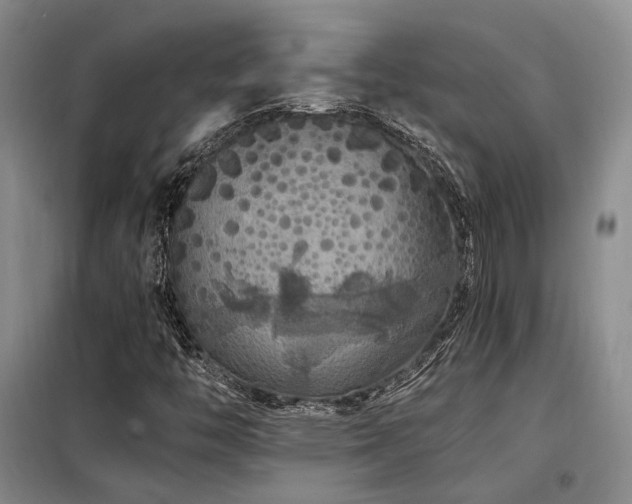 X0000098131446200804171509
