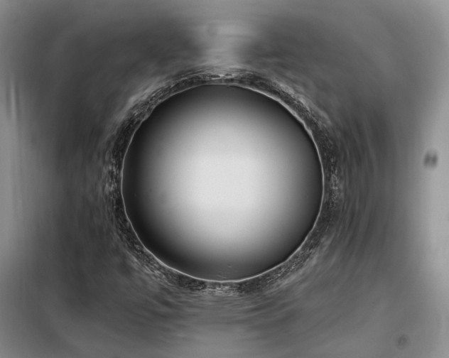 X0000098131447200804171509