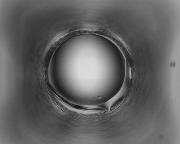 X0000098131448200804171509
