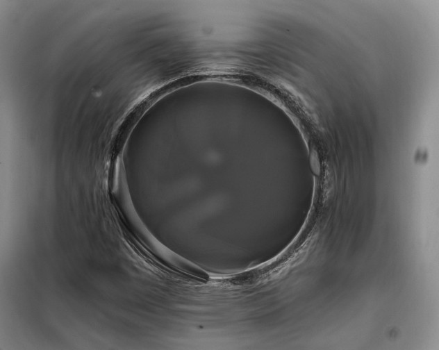 X0000098131449200804171509