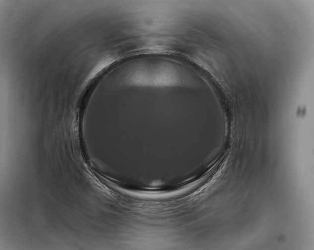 X0000098131450200804171509