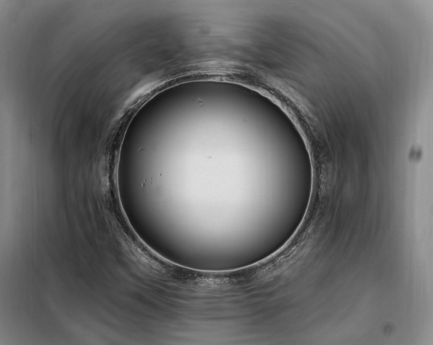 X0000098131451200804171509