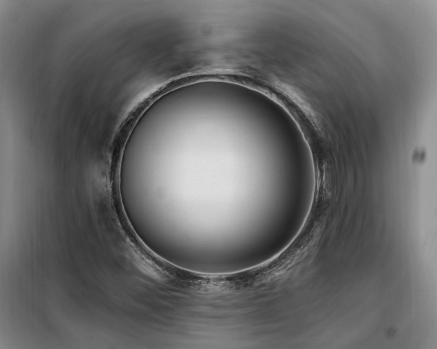 X0000098131452200804171509
