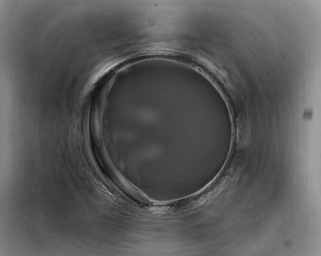 X0000098131453200804171509