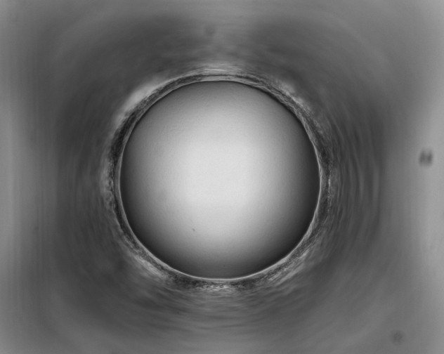X0000098131454200804171509