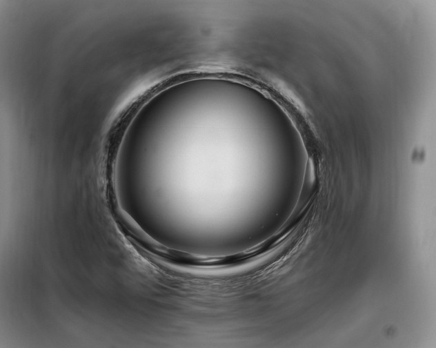 X0000098131456200804171509