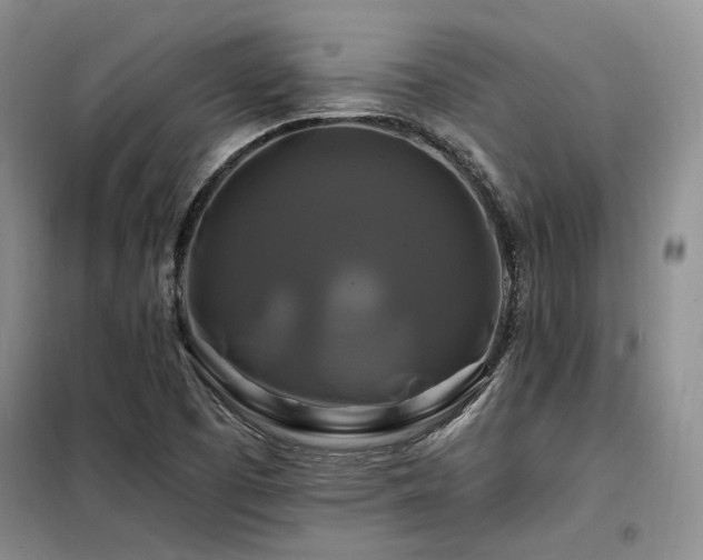 X0000098131457200804171509