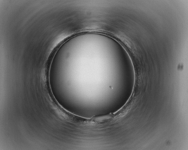 X0000098131458200804171509