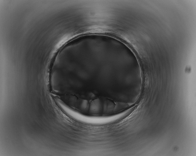 X0000098131459200804171509