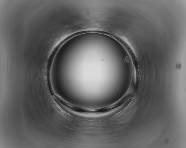 X0000098131460200804171509