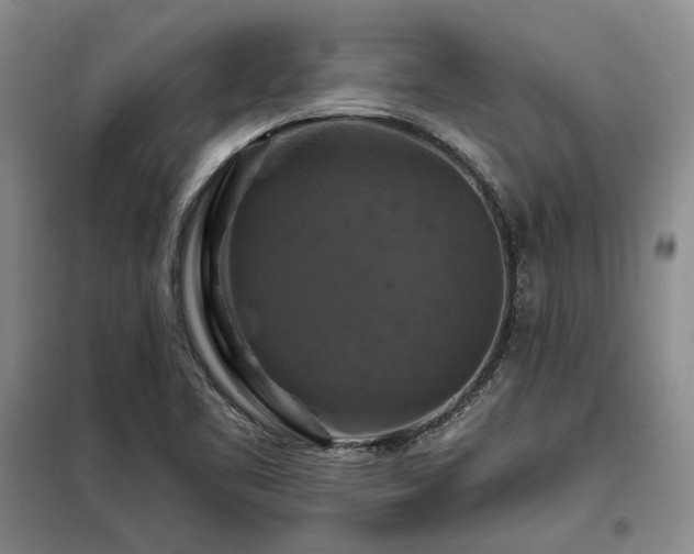 X0000098131461200804171509
