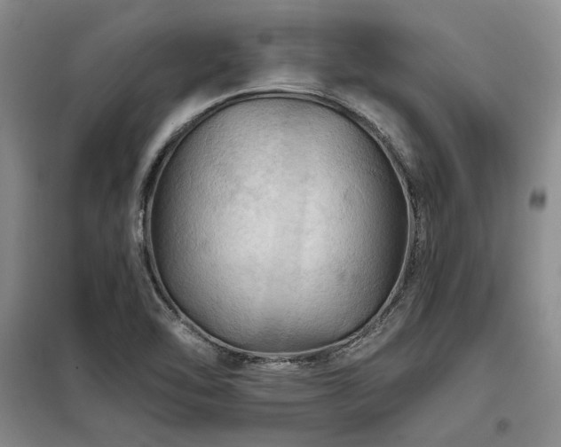 X0000098131462200804171509