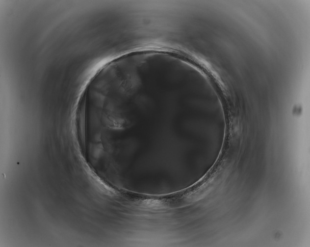 X0000098131463200804171509