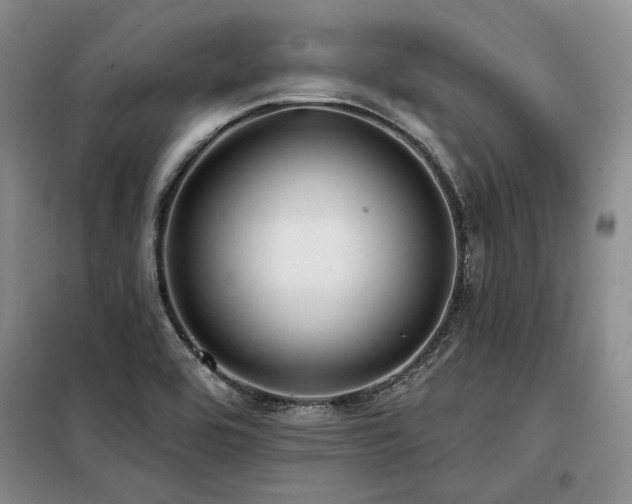 X0000098131464200804171509