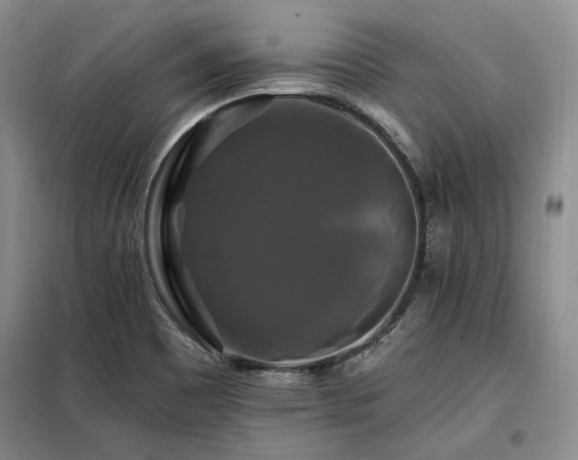 X0000098131465200804171509