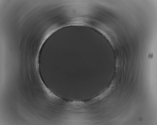 X0000098131466200804171509