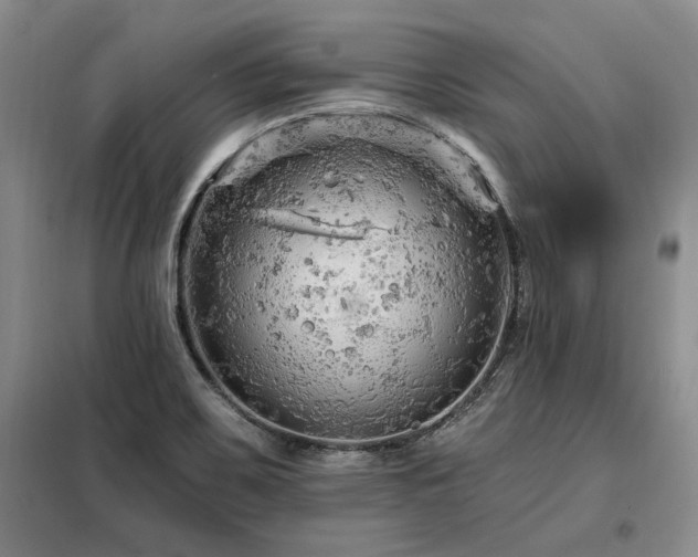 X0000098131467200804171509