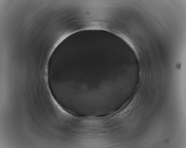 X0000098131468200804171509