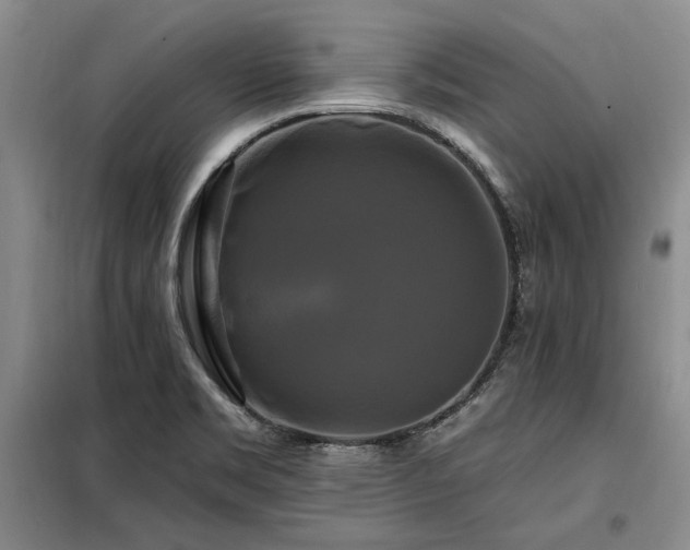 X0000098131469200804171509