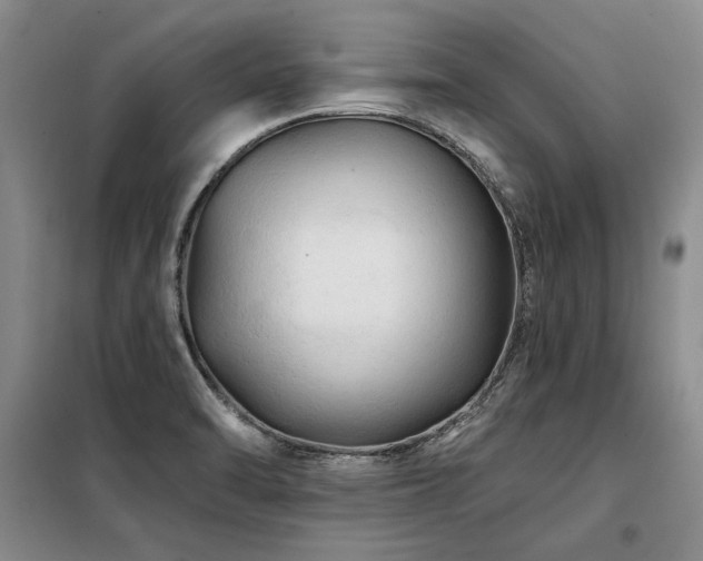 X0000098131470200804171509