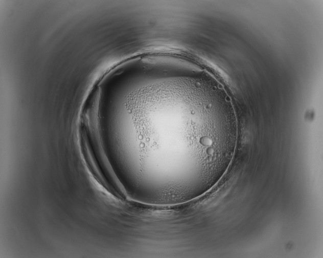 X0000098131471200804171509