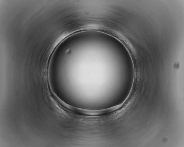 X0000098131473200804171508