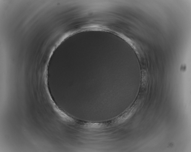 X0000098131474200804171508