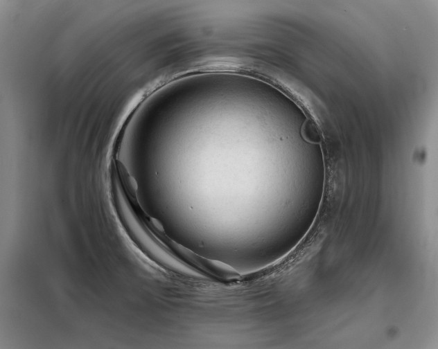 X0000098131475200804171508