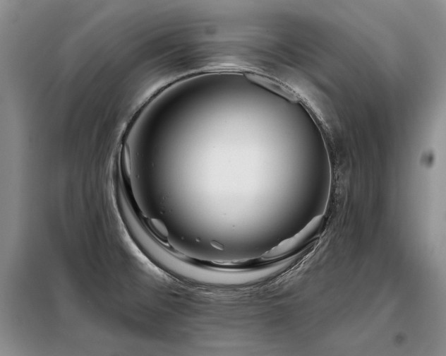 X0000098131476200804171508