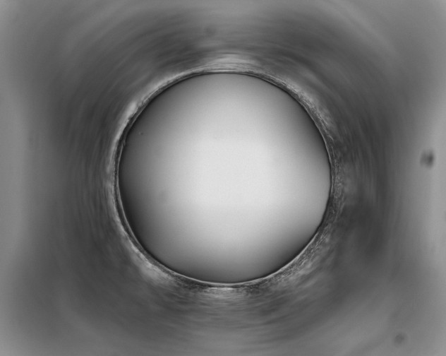 X0000098131478200804171508