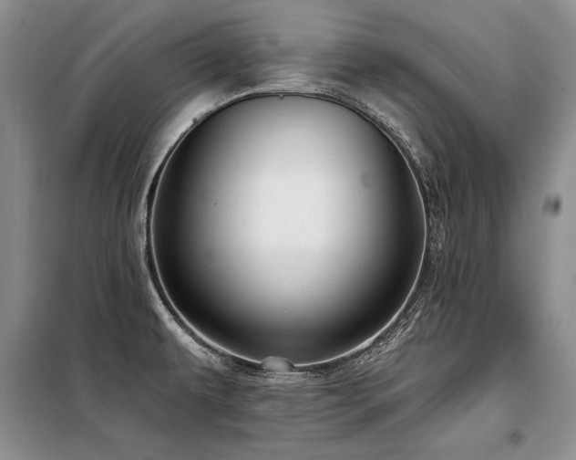 X0000098131479200804171508