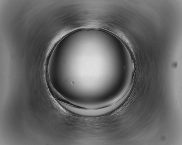X0000098131480200804171508