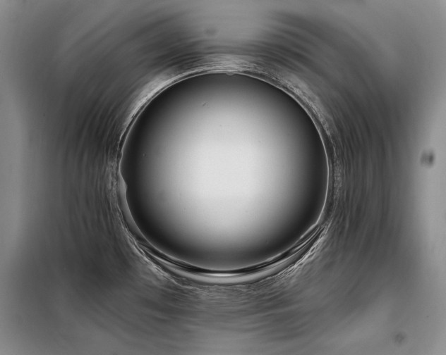 X0000098131481200804171508