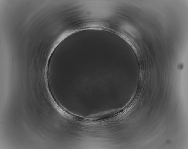 X0000098131482200804171508