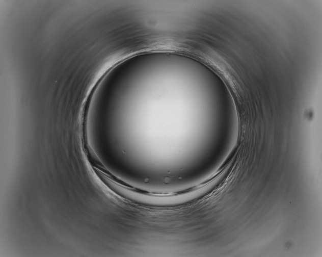 X0000098131483200804171508