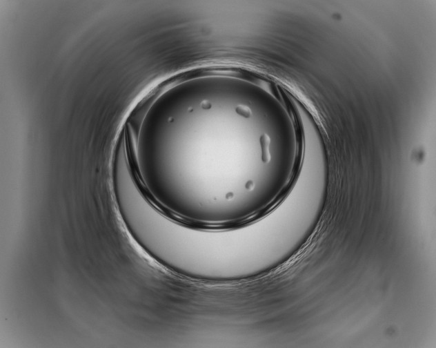 X0000098131484200804171508