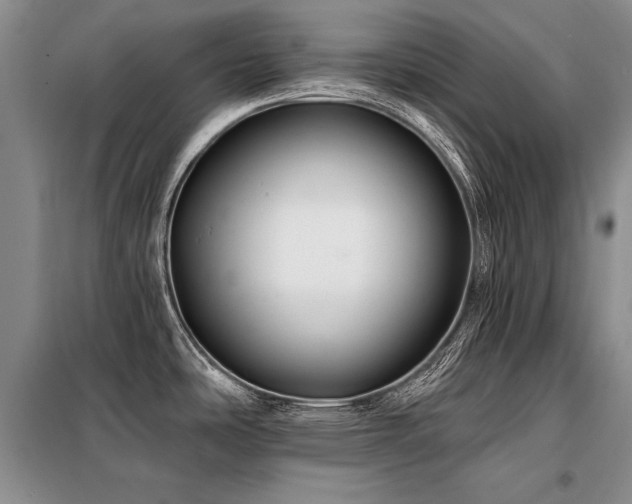 X0000098131486200804171508