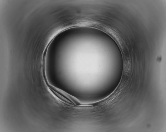X0000098131487200804171508