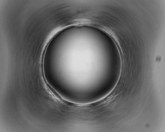 X0000098131488200804171508