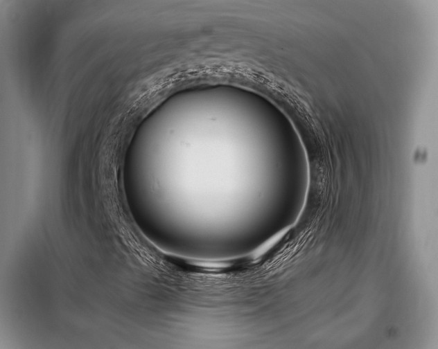X0000098131489200804171507