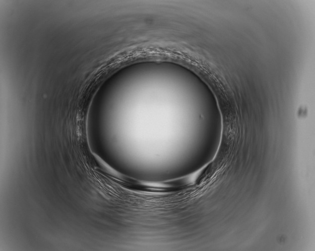 X0000098131490200804171507