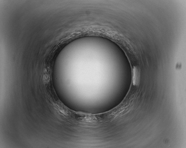 X0000098131491200804171507