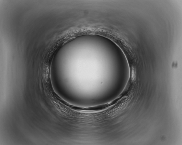 X0000098131492200804171507