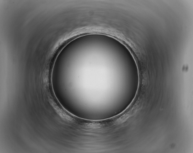 X0000098131499200804171507