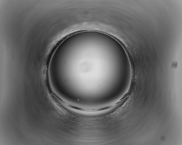 X0000098131507200804171508